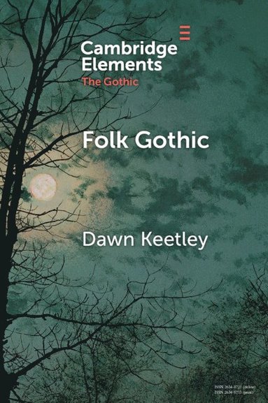 bokomslag Folk Gothic