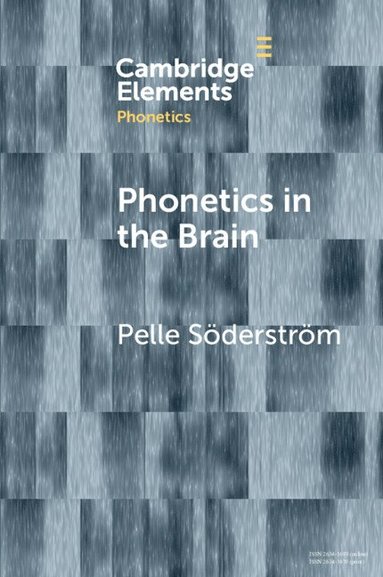 bokomslag Phonetics in the Brain