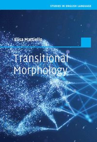 bokomslag Transitional Morphology