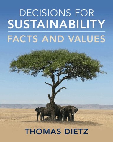 Thomas Dietz - Decisions for Sustainability, Inbunden