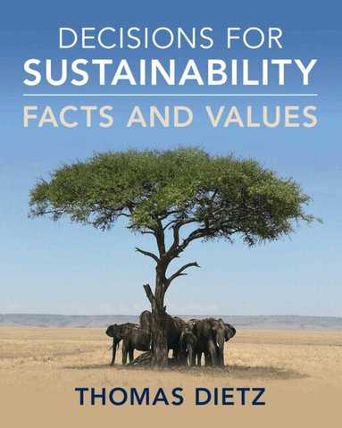 Thomas Dietz - Decisions for Sustainability, Häftad