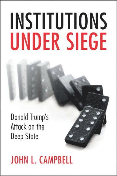 bokomslag Institutions under Siege