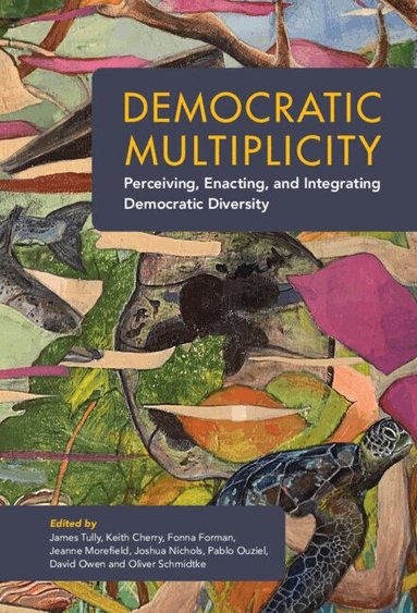 James Tully, Keith Cherry, Fonna Forman, Jeanne Morefield, Joshua Nichols, Pablo Ouziel, David Owen, Oliver Schmidtke - Democratic Multiplicity, Inbunden