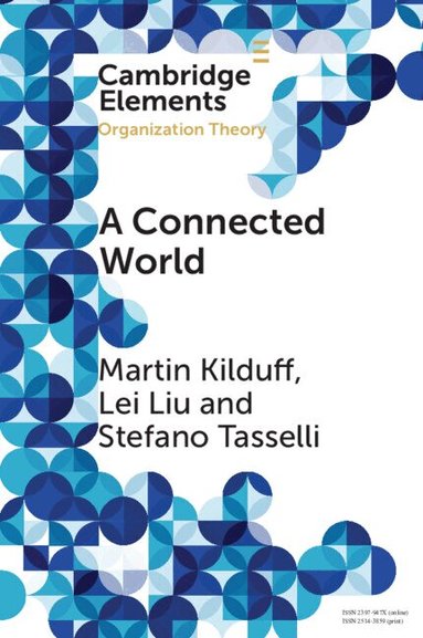 Martin Kilduff, Lei Liu, Stefano Tasselli - A Connected World, Häftad