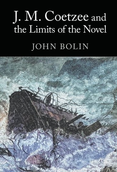 bokomslag J. M. Coetzee and the Limits of the Novel