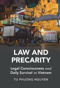 bokomslag Law and Precarity