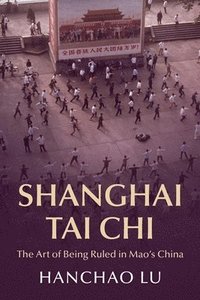 bokomslag Shanghai Tai Chi