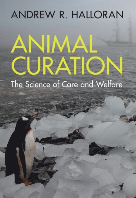 Animal Curation