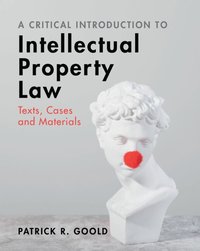 bokomslag A Critical Introduction to Intellectual Property Law