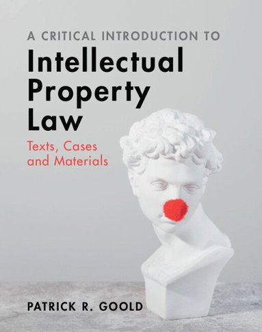 bokomslag Critical Introduction to Intellectual Property Law