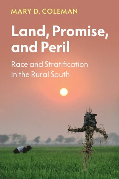 bokomslag Land, Promise, and Peril