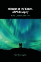 bokomslag Ric?ur at the Limits of Philosophy