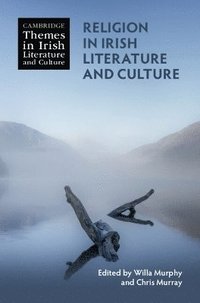 bokomslag Religion in Irish Literature and Culture
