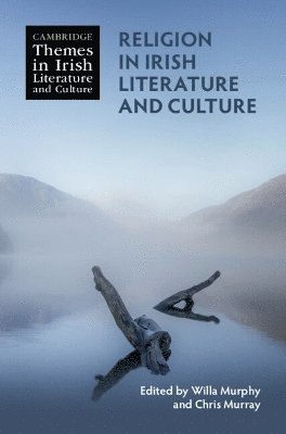 bokomslag Religion in Irish Literature and Culture
