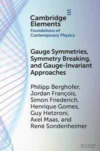 bokomslag Gauge Symmetries, Symmetry Breaking, and Gauge-Invariant Approaches
