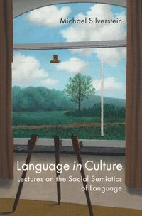 bokomslag Language in Culture