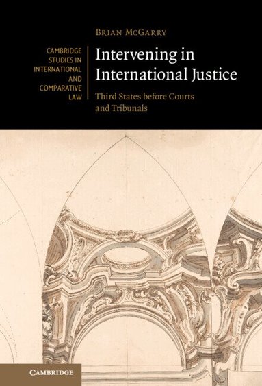 Brian McGarry - Intervening in International Justice, Inbunden