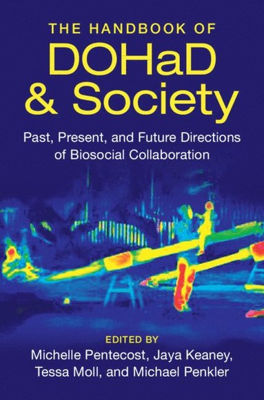 bokomslag Handbook of DOHaD and Society