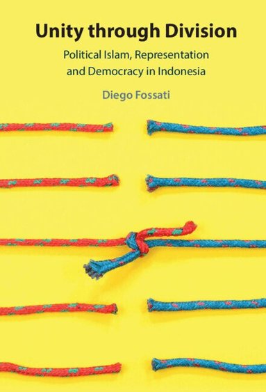 Diego Fossati - Unity through Division, Inbunden