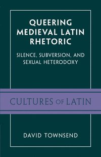 bokomslag Queering Medieval Latin Rhetoric