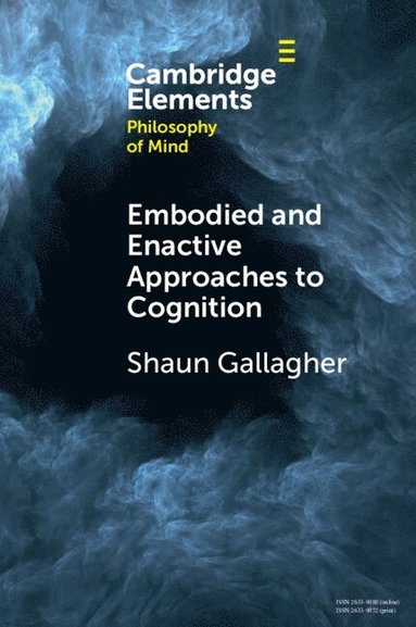 bokomslag Embodied and Enactive Approaches to Cognition