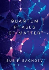 bokomslag Quantum Phases of Matter