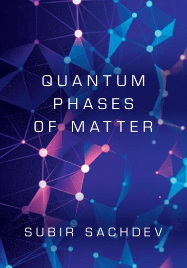 bokomslag Quantum Phases of Matter