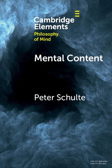 Peter Schulte - Mental Content, Häftad