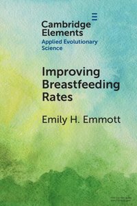 bokomslag Improving Breastfeeding Rates