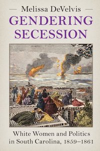 bokomslag Gendering Secession