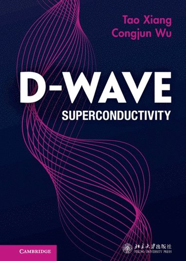 bokomslag D-wave Superconductivity