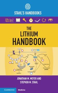 bokomslag The Lithium Handbook