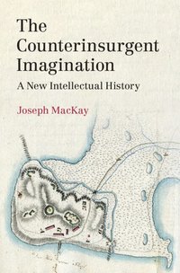 bokomslag The Counterinsurgent Imagination