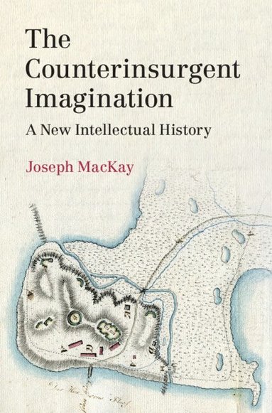 bokomslag The Counterinsurgent Imagination