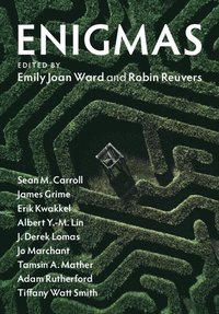 bokomslag Enigmas