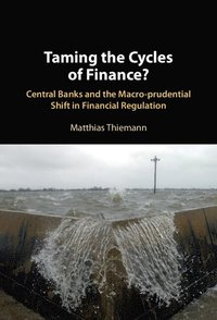 bokomslag Taming the Cycles of Finance?