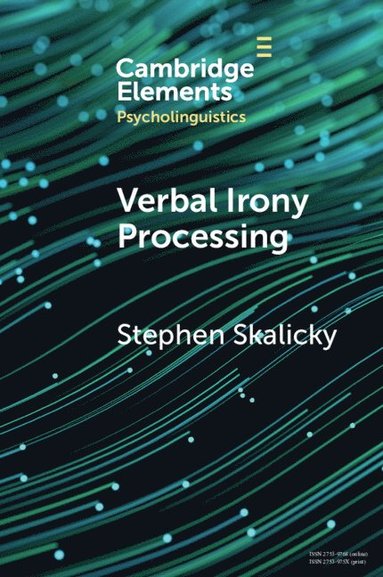 bokomslag Verbal Irony Processing