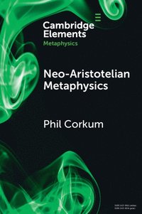 bokomslag Neo-Aristotelian Metaphysics