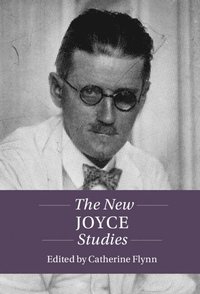 bokomslag New Joyce Studies