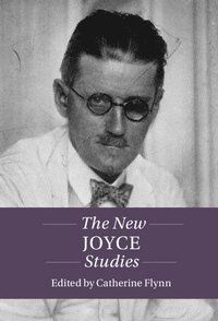 bokomslag The New Joyce Studies