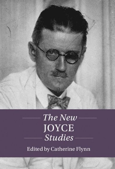 bokomslag New Joyce Studies