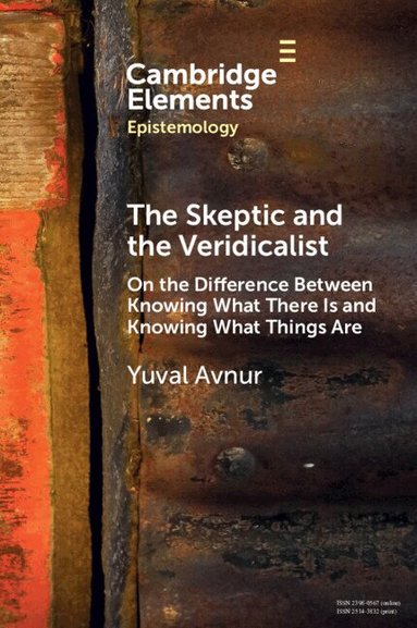 Yuval Avnur - The Skeptic and the Veridicalist, Häftad