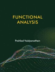 bokomslag Functional Analysis