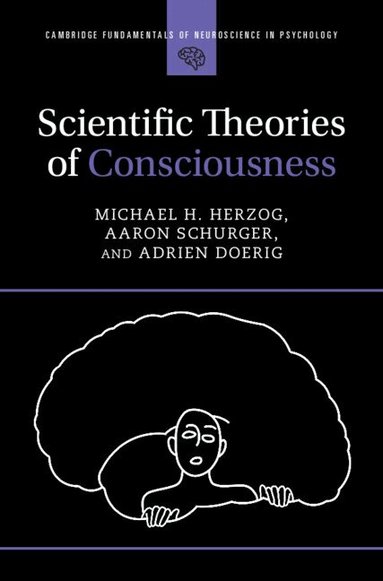 Michael H. Herzog, Aaron Schurger, Adrien Doerig - Scientific Theories of Consciousness, Häftad
