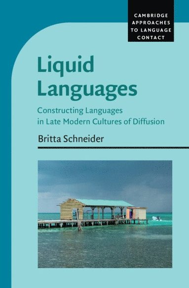 bokomslag Liquid Languages