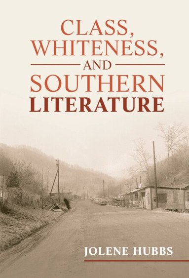 bokomslag Class, Whiteness, and Southern Literature