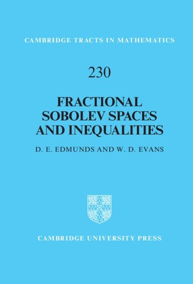 bokomslag Fractional Sobolev Spaces and Inequalities