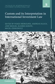 bokomslag Custom and its Interpretation in International Investment Law: Volume 2