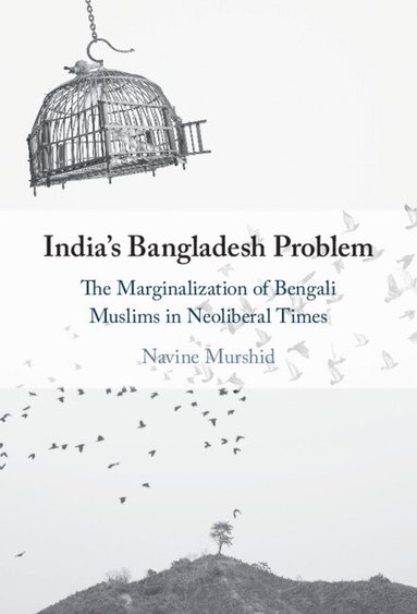 bokomslag India's Bangladesh Problem