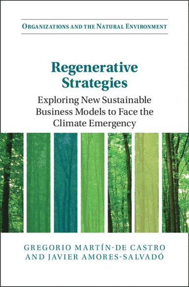 bokomslag Regenerative Strategies